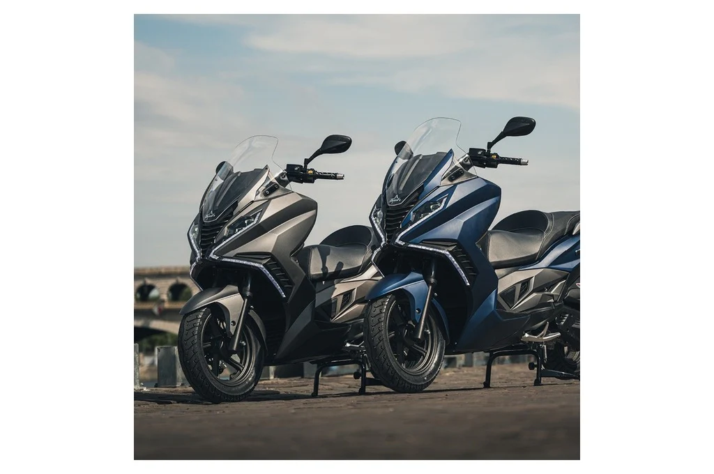Belena 300.3